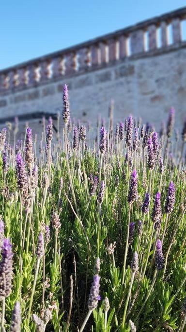 Podere Del Gelso Bianco, Vacation Rental Ostuni Ngoại thất bức ảnh